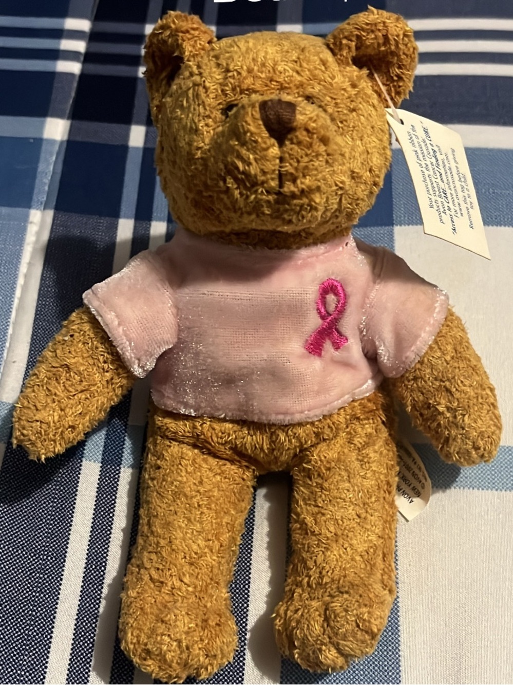 Breast Cancer Awareness Pink Ribbon Bear Plush Toy